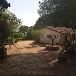Le Grotte فيلة
